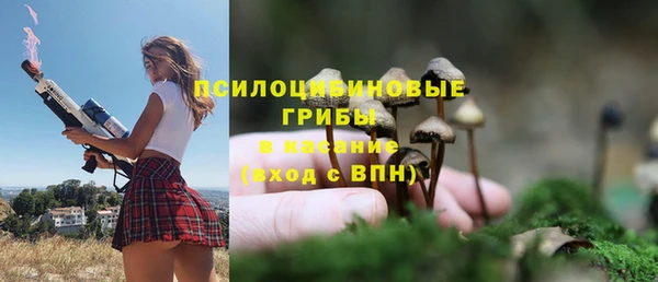 каннабис Алзамай