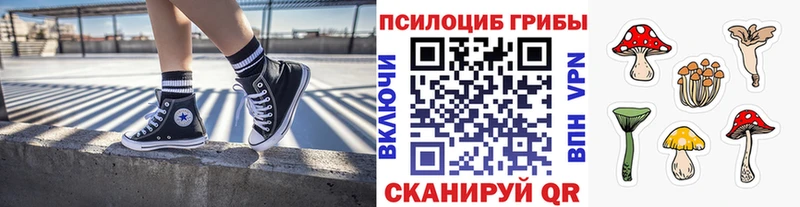 наркота  Минусинск  Псилоцибиновые грибы прущие грибы 